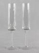 Cylinder Toasting Flutes Set 